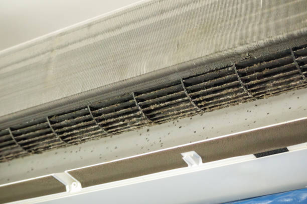 Best HVAC System Cleaning  in Hartford, WI